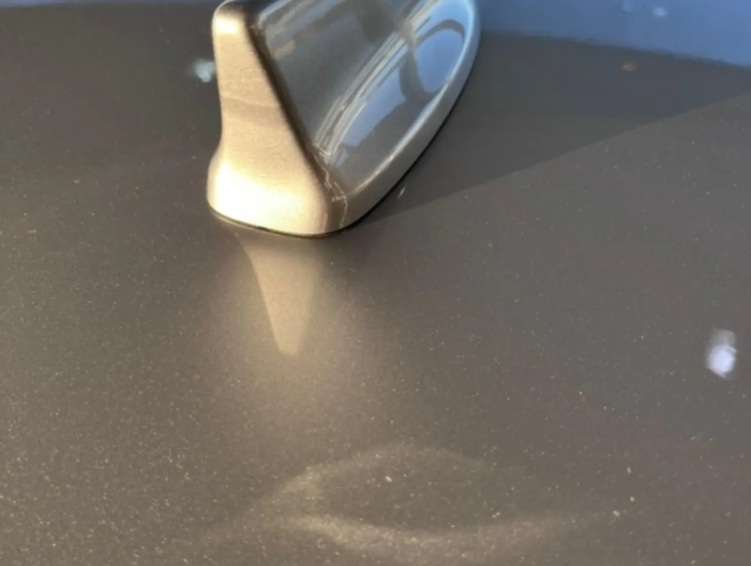 galeria NEW CITY HATCH