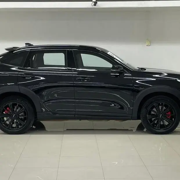 Gwm Haval H6 GT PHEV AWD