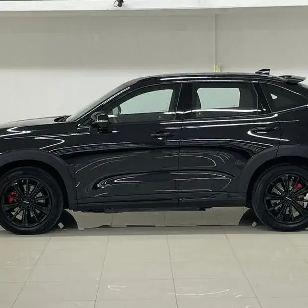 Gwm Haval H6 GT PHEV AWD