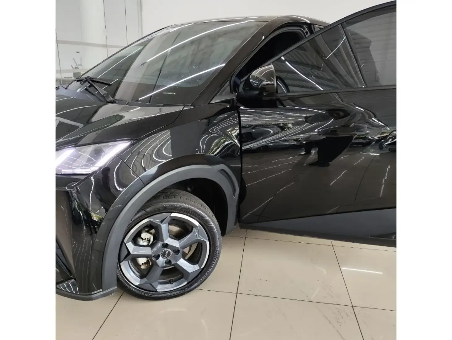 galeria DOLPHIN MINI