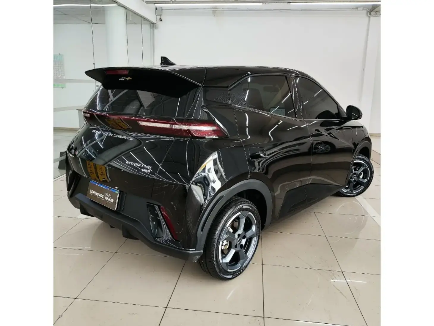 galeria DOLPHIN MINI