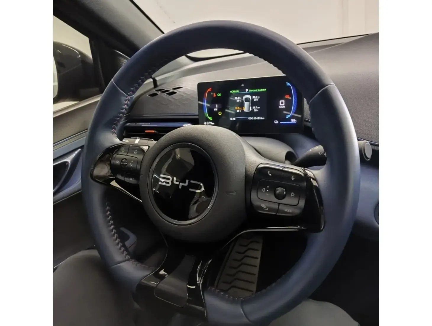 galeria DOLPHIN MINI