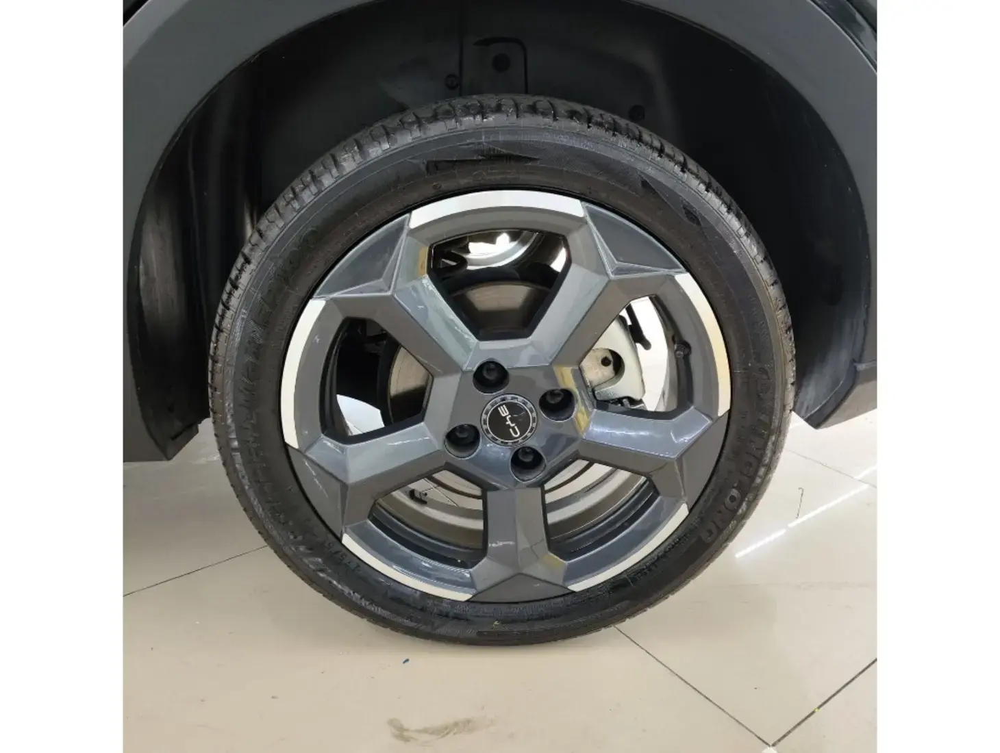 galeria DOLPHIN MINI