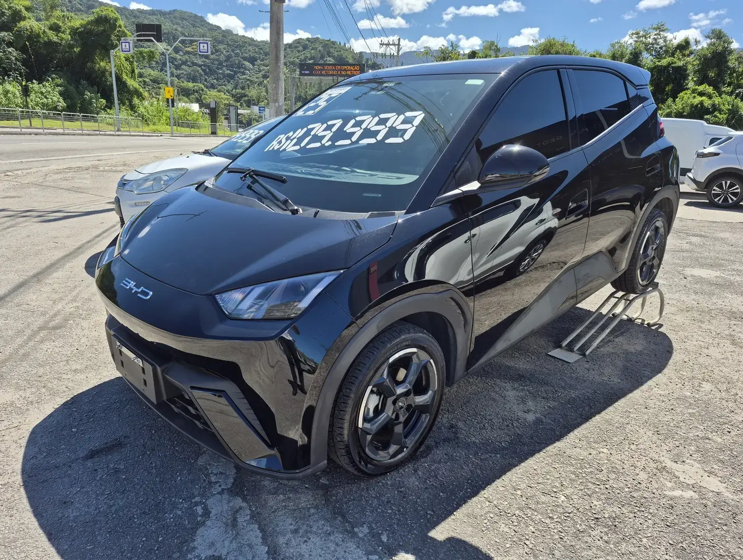 galeria DOLPHIN MINI