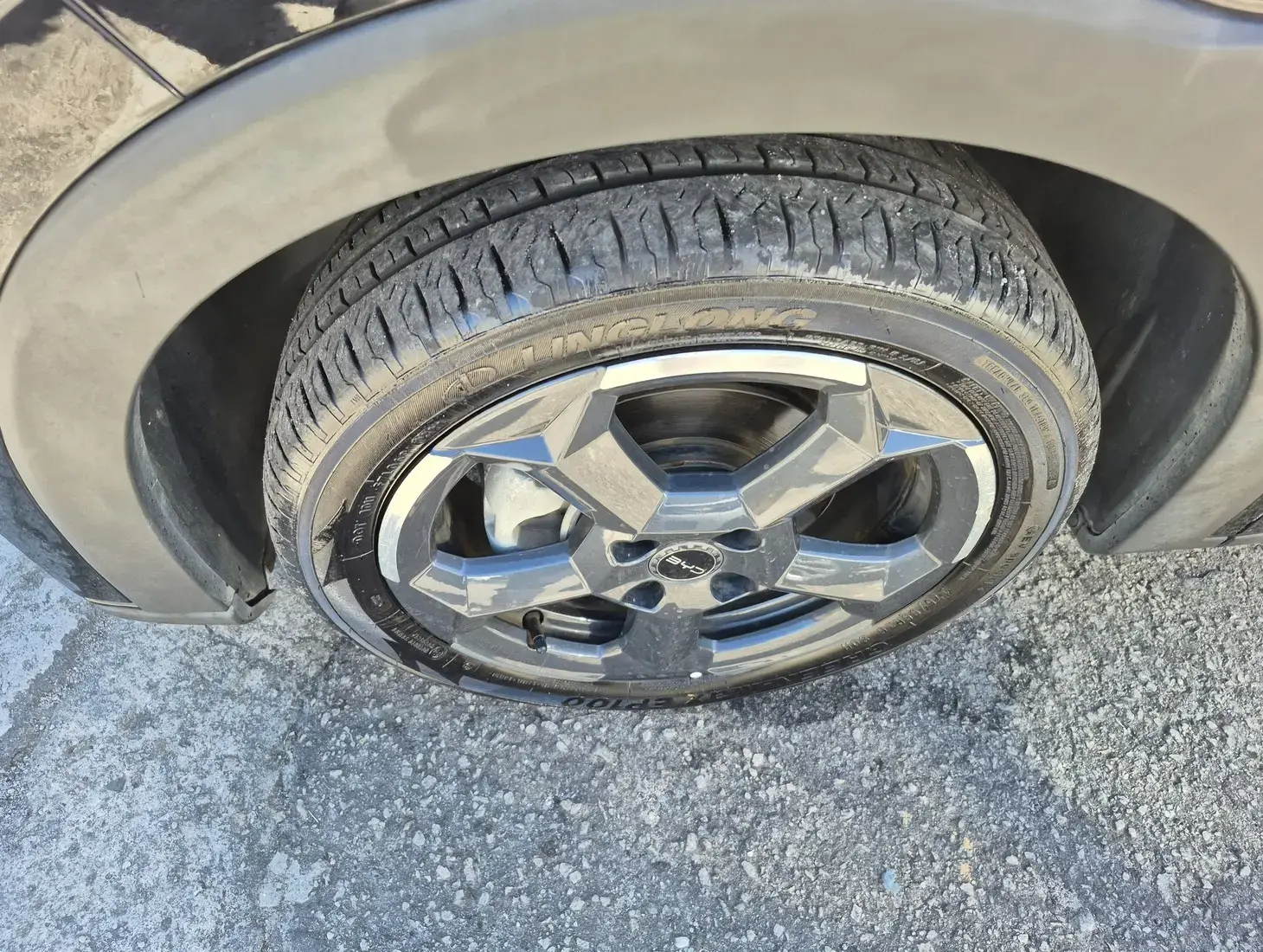 galeria DOLPHIN MINI