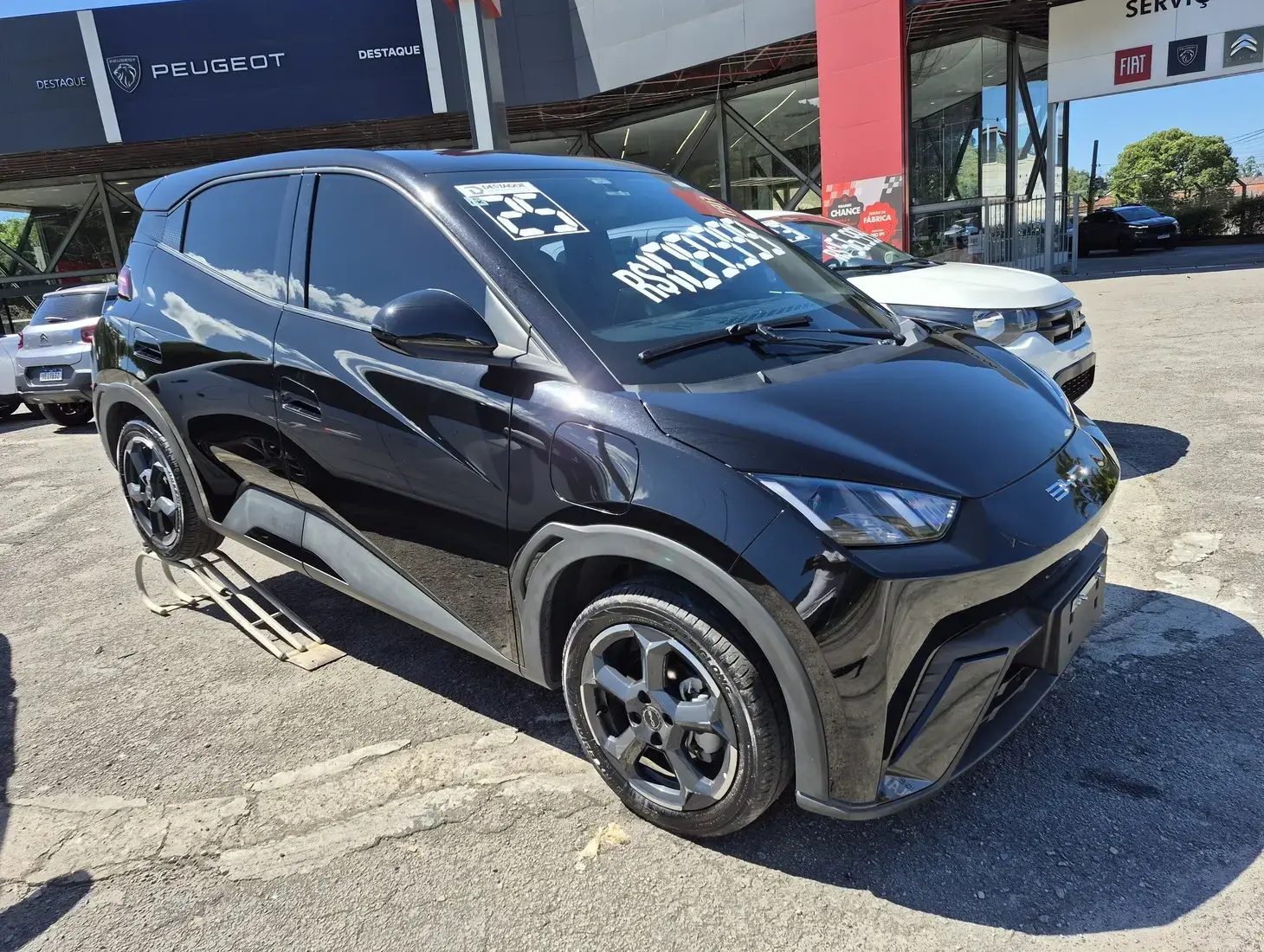 galeria DOLPHIN MINI