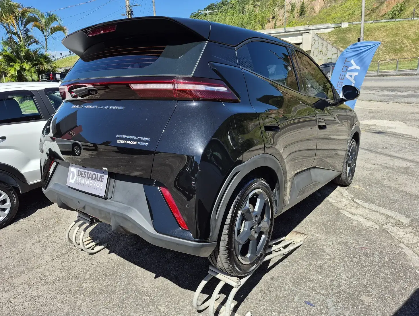 galeria DOLPHIN MINI