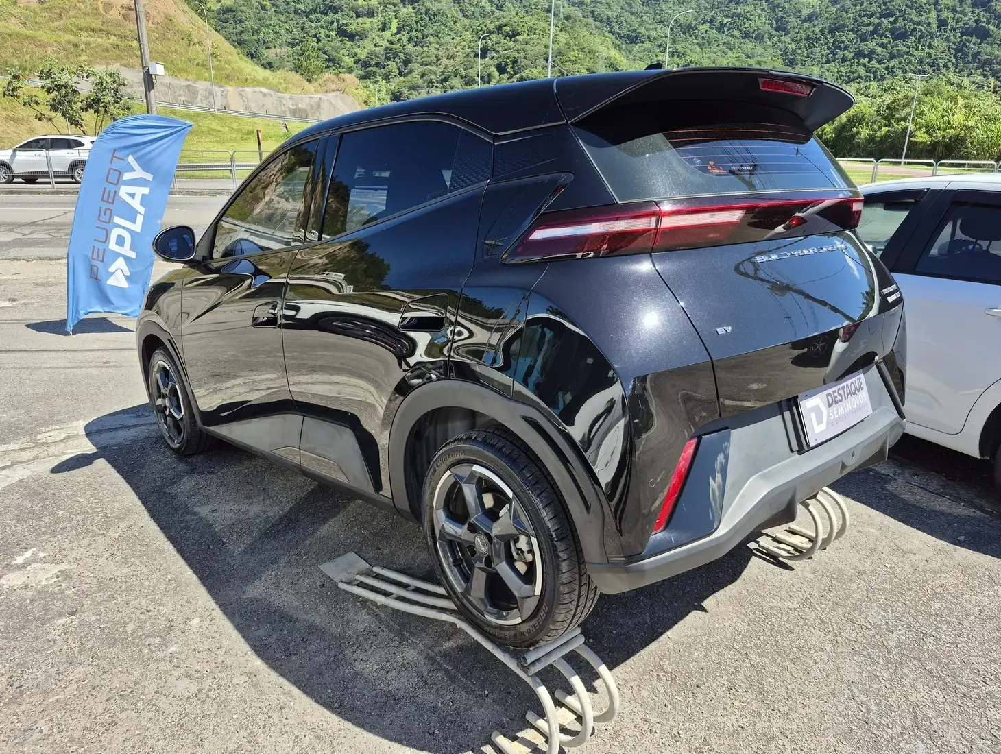 galeria DOLPHIN MINI