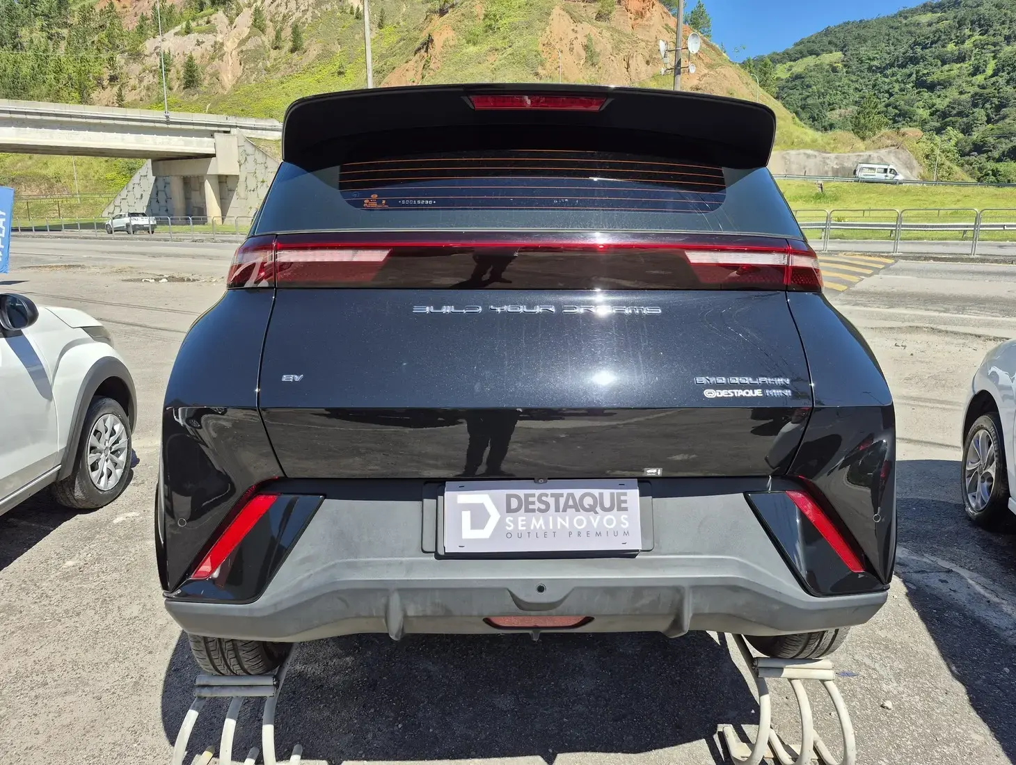 galeria DOLPHIN MINI