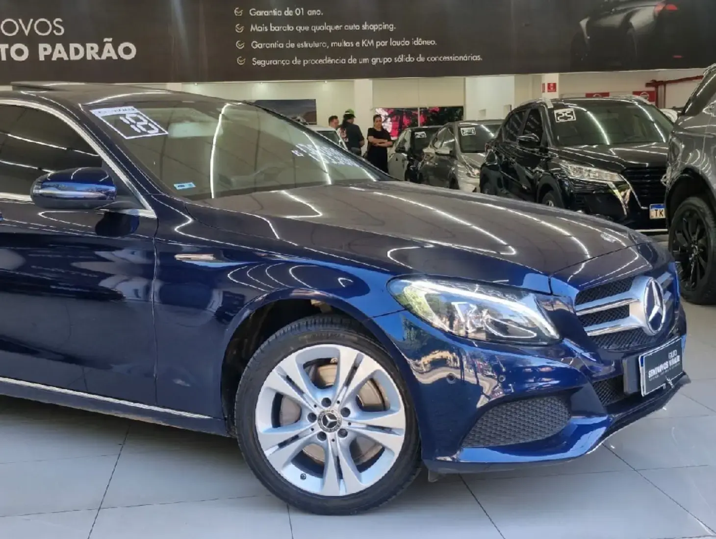 galeria C 250