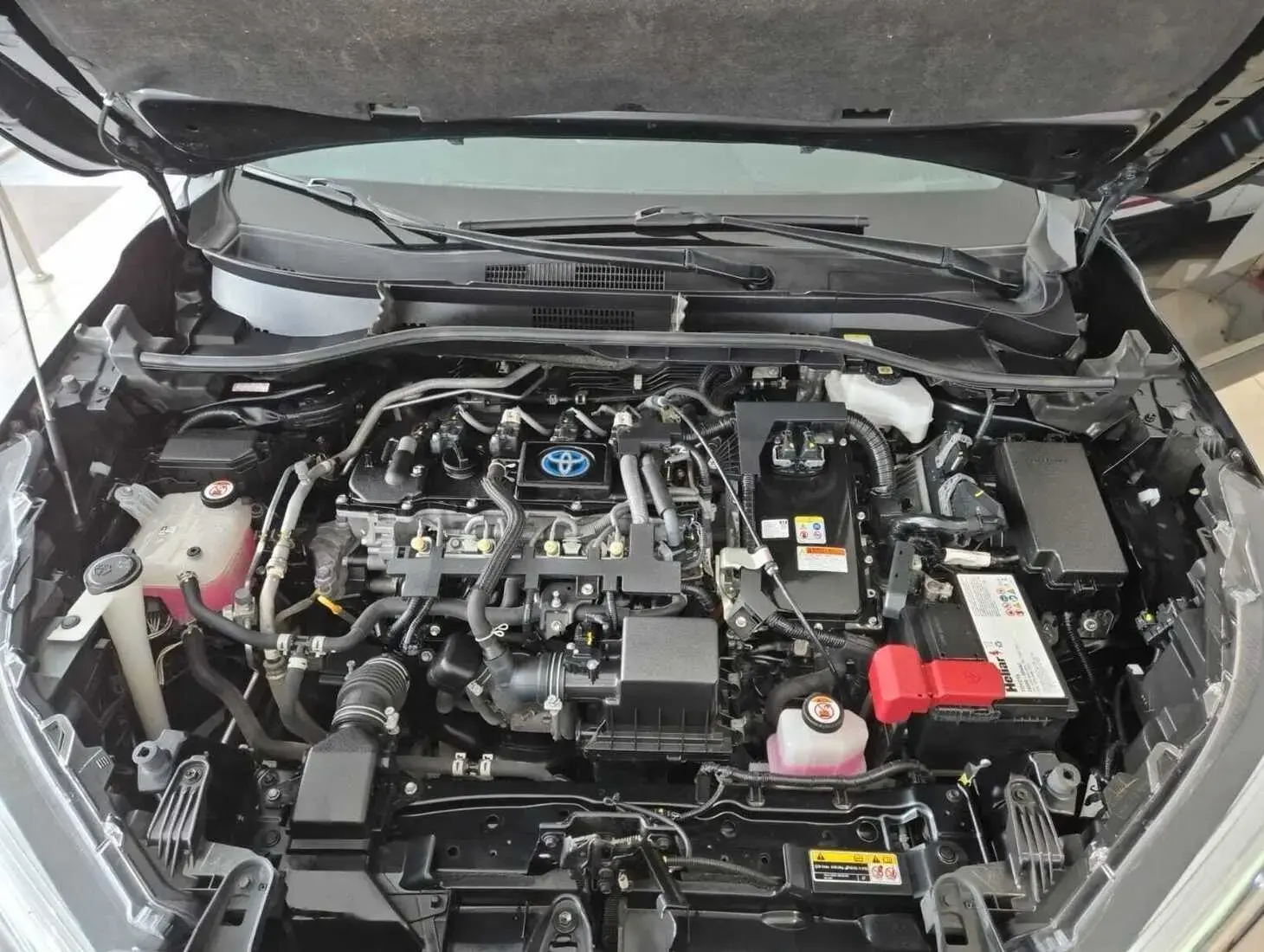 galeria Corolla Cross