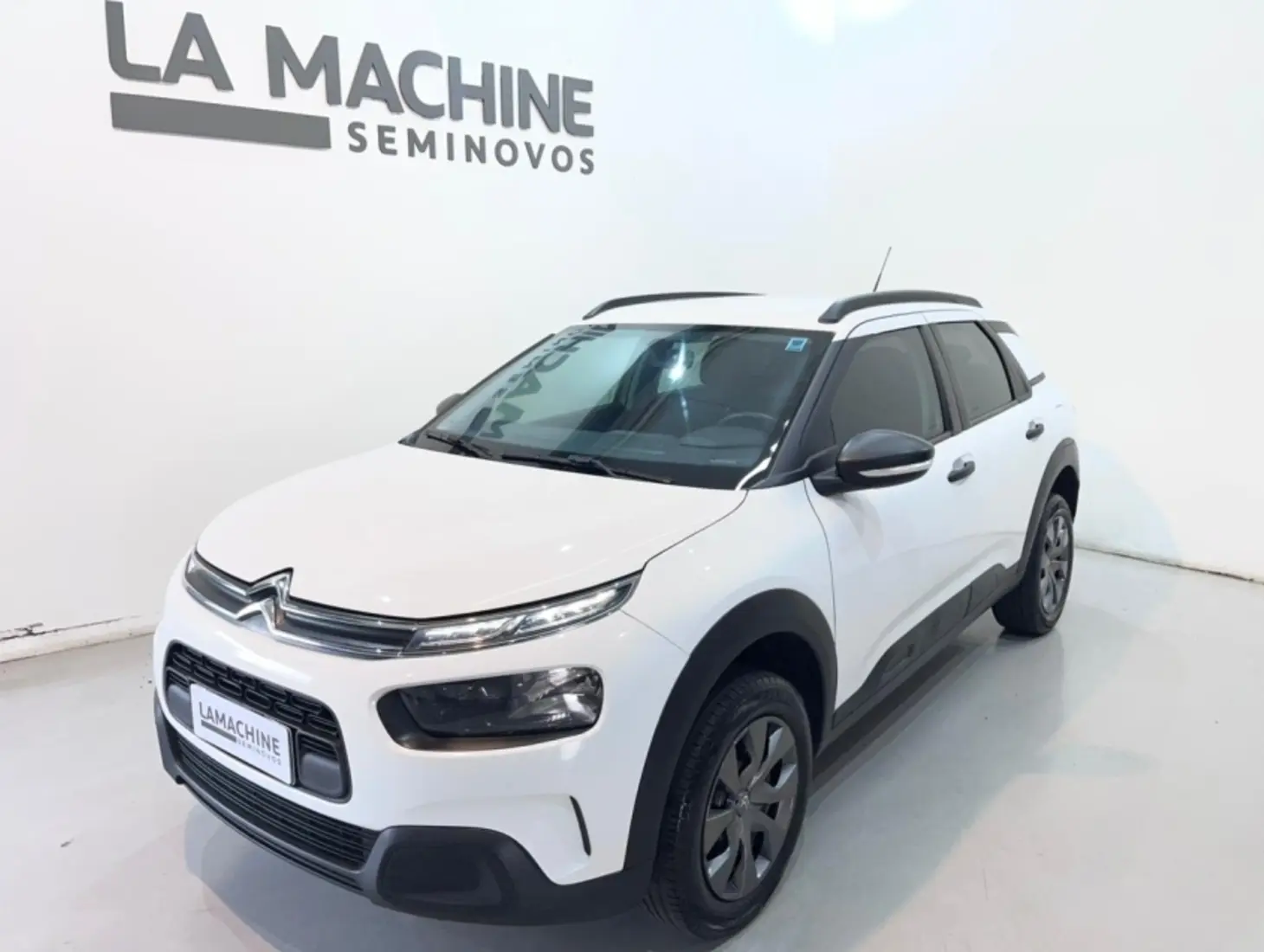 galeria C4 CACTUS