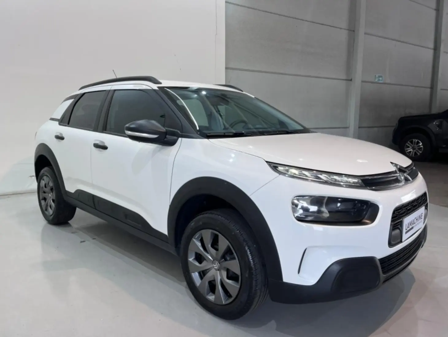 galeria C4 CACTUS
