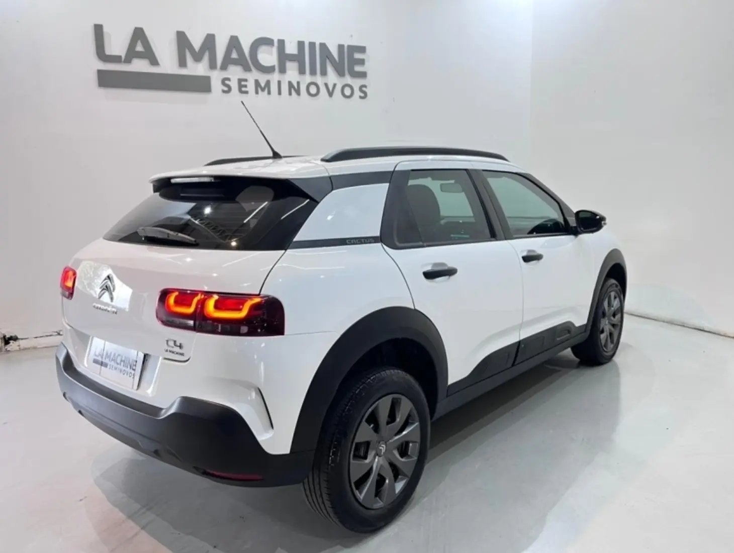 galeria C4 CACTUS