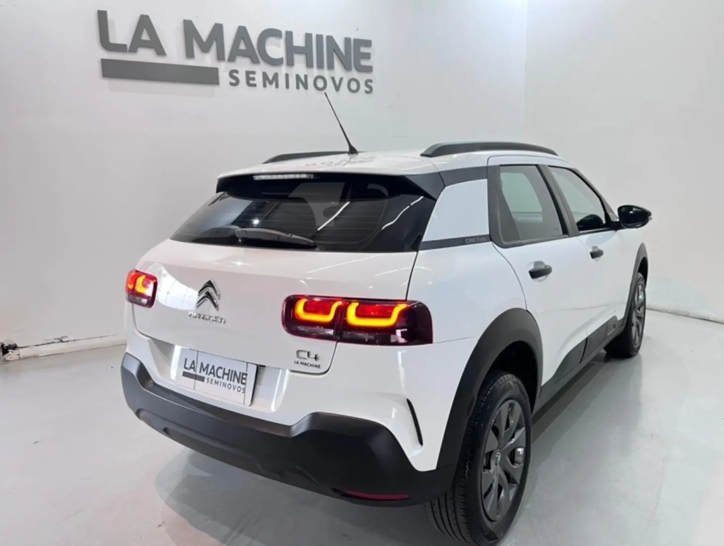 galeria C4 CACTUS