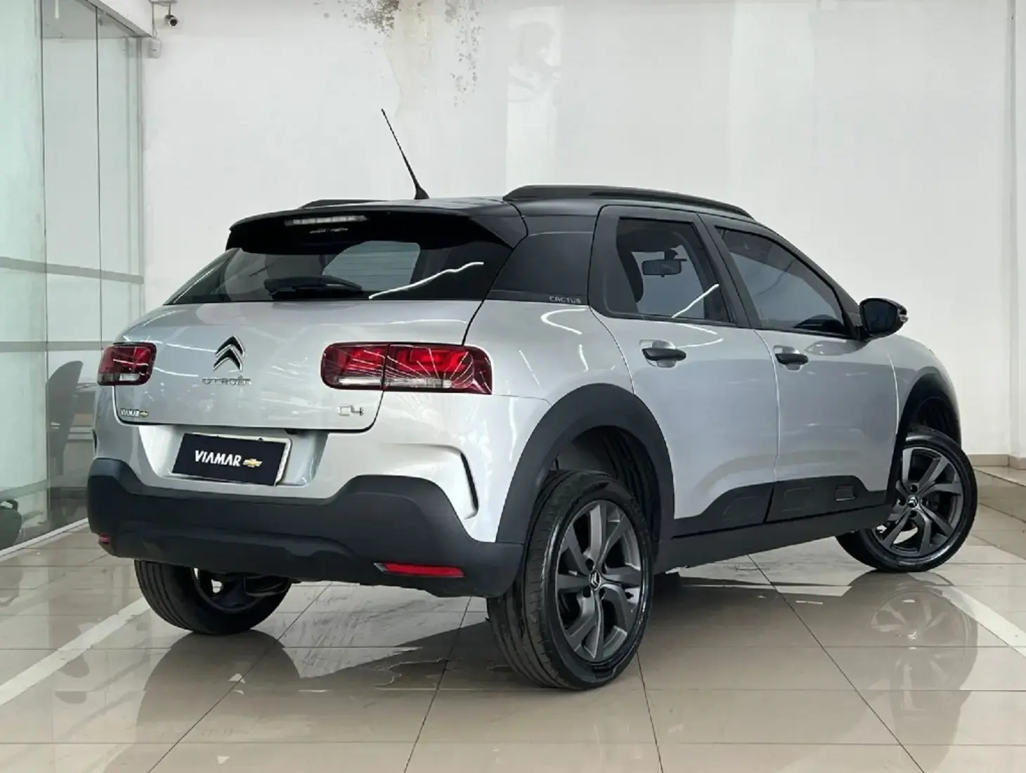 galeria C4 CACTUS