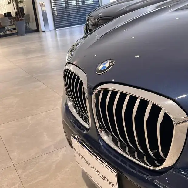 Bmw X3 xDrive30e 2.0 Turbo Híbrido (Aut)