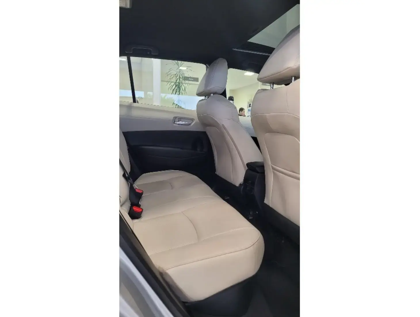 galeria Corolla Cross