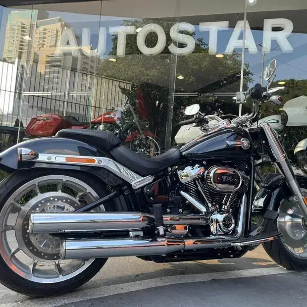 Harley Davidson Fat Boy FLFBS FAT BOY 114