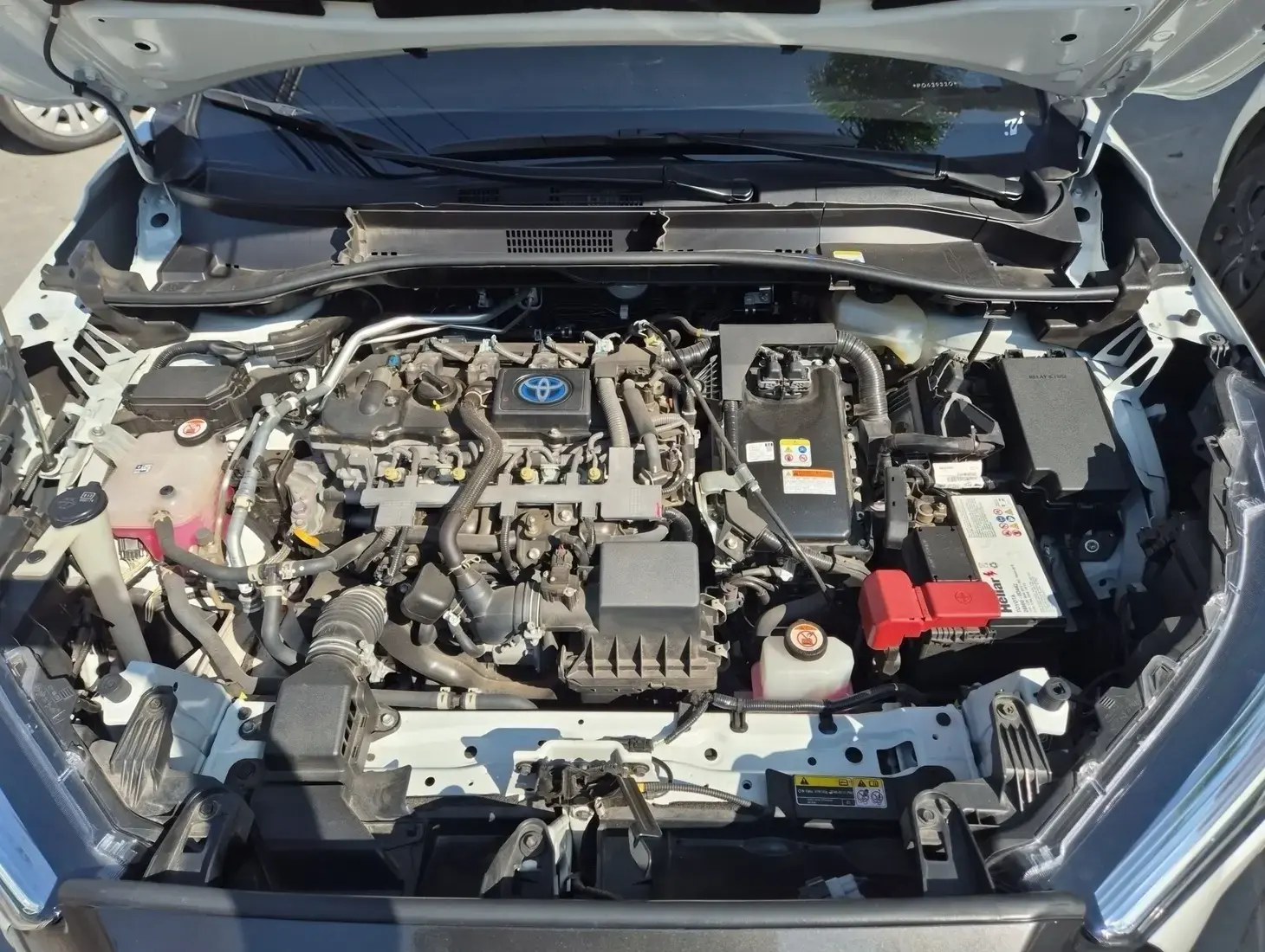 galeria Corolla Cross