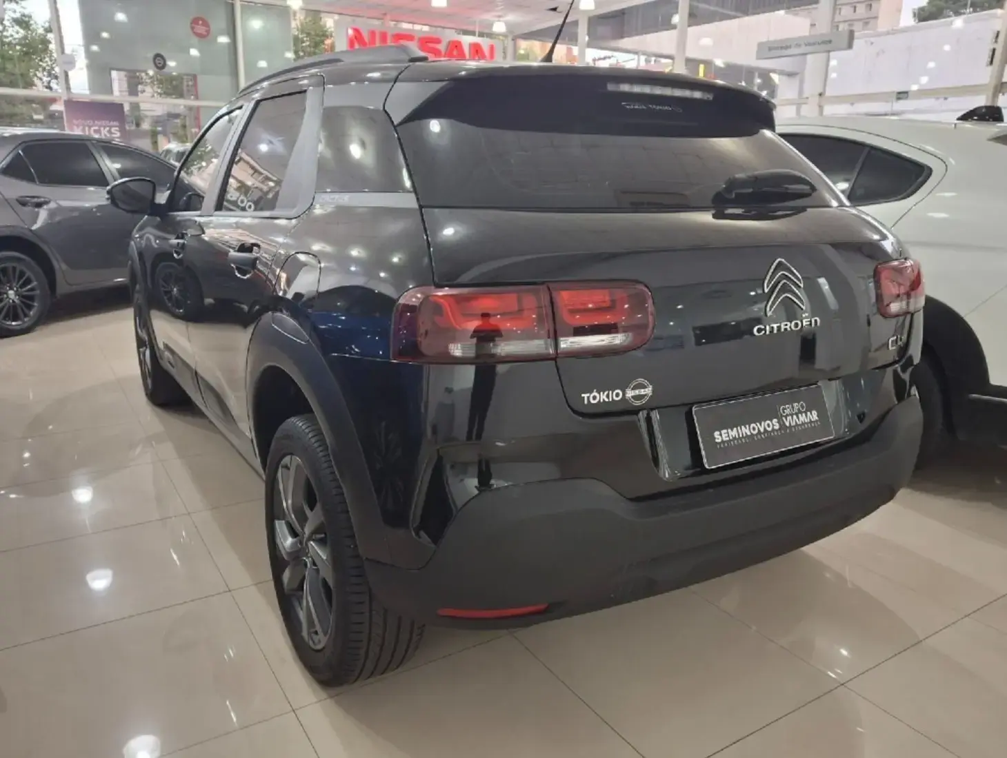 galeria C4 CACTUS