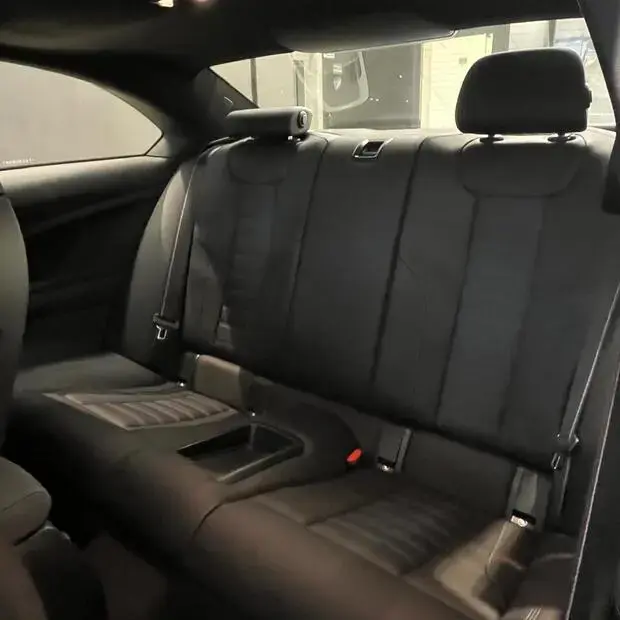 Bmw M2 3.0 Turbo (Aut.)