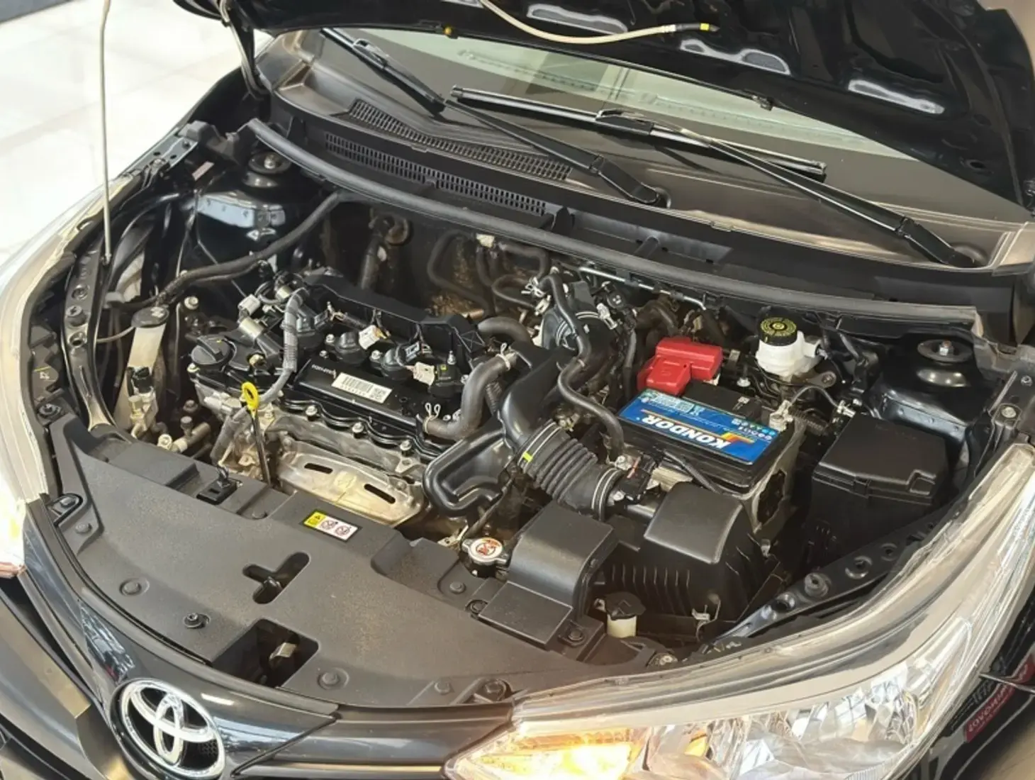 galeria Yaris
