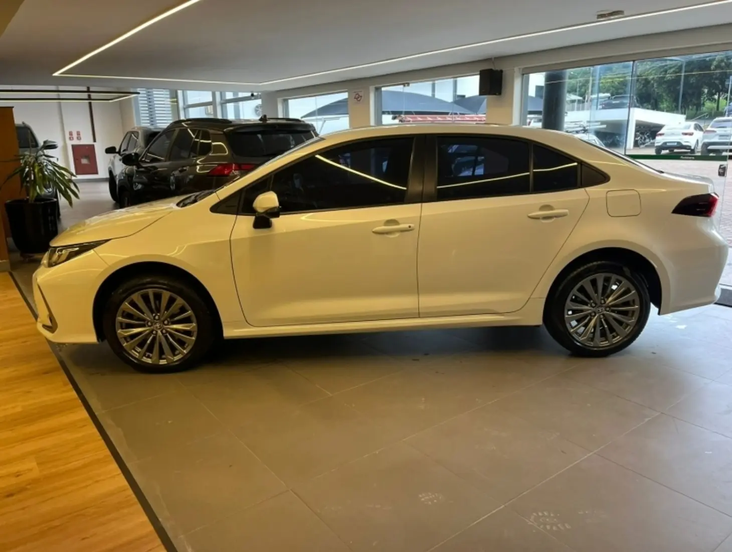 galeria COROLLA