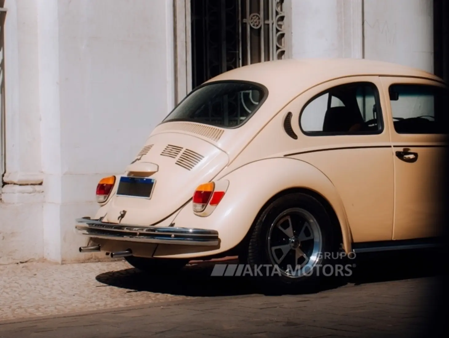 galeria FUSCA