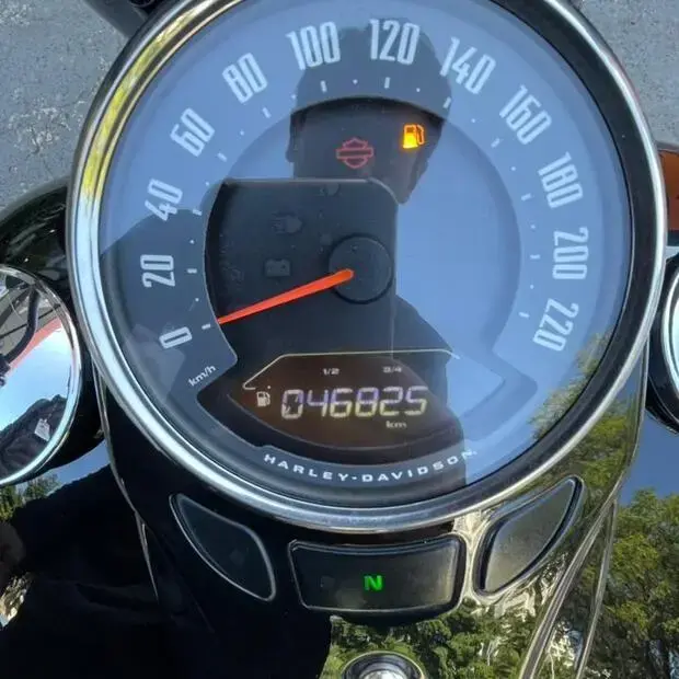 Harley Davidson Heritage CLASSIC FLHC/FLHCS