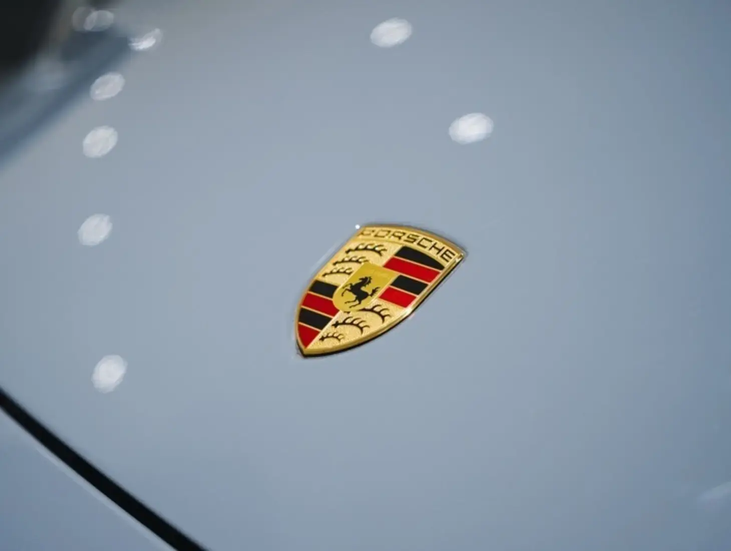 galeria 911