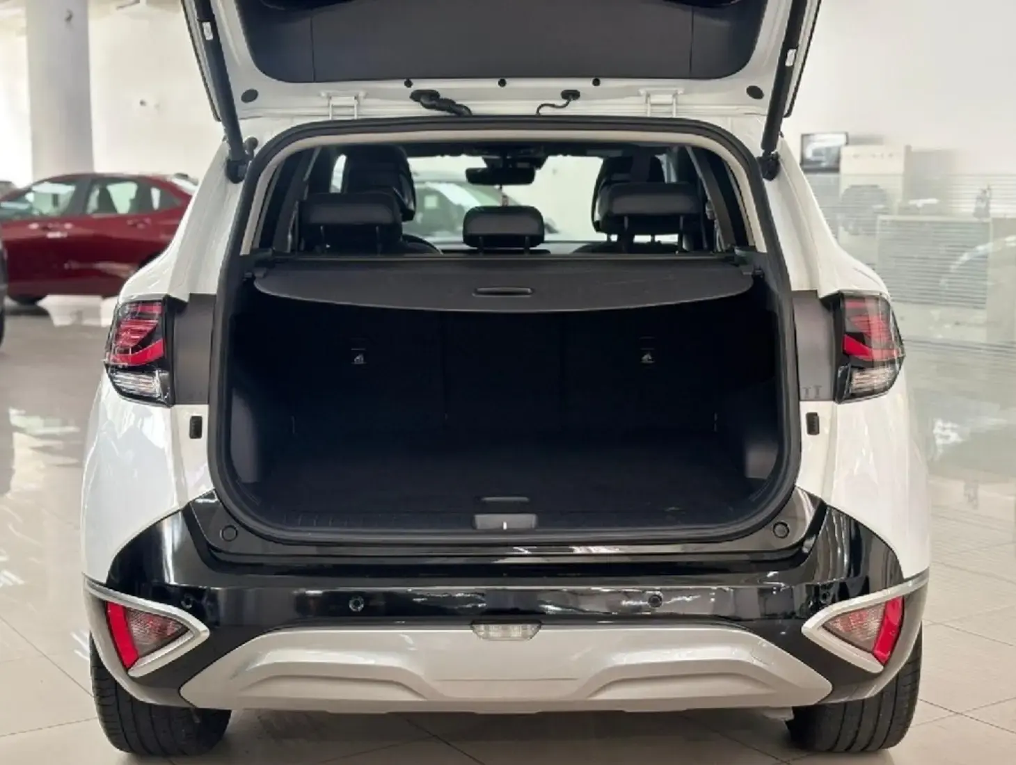 galeria SPORTAGE