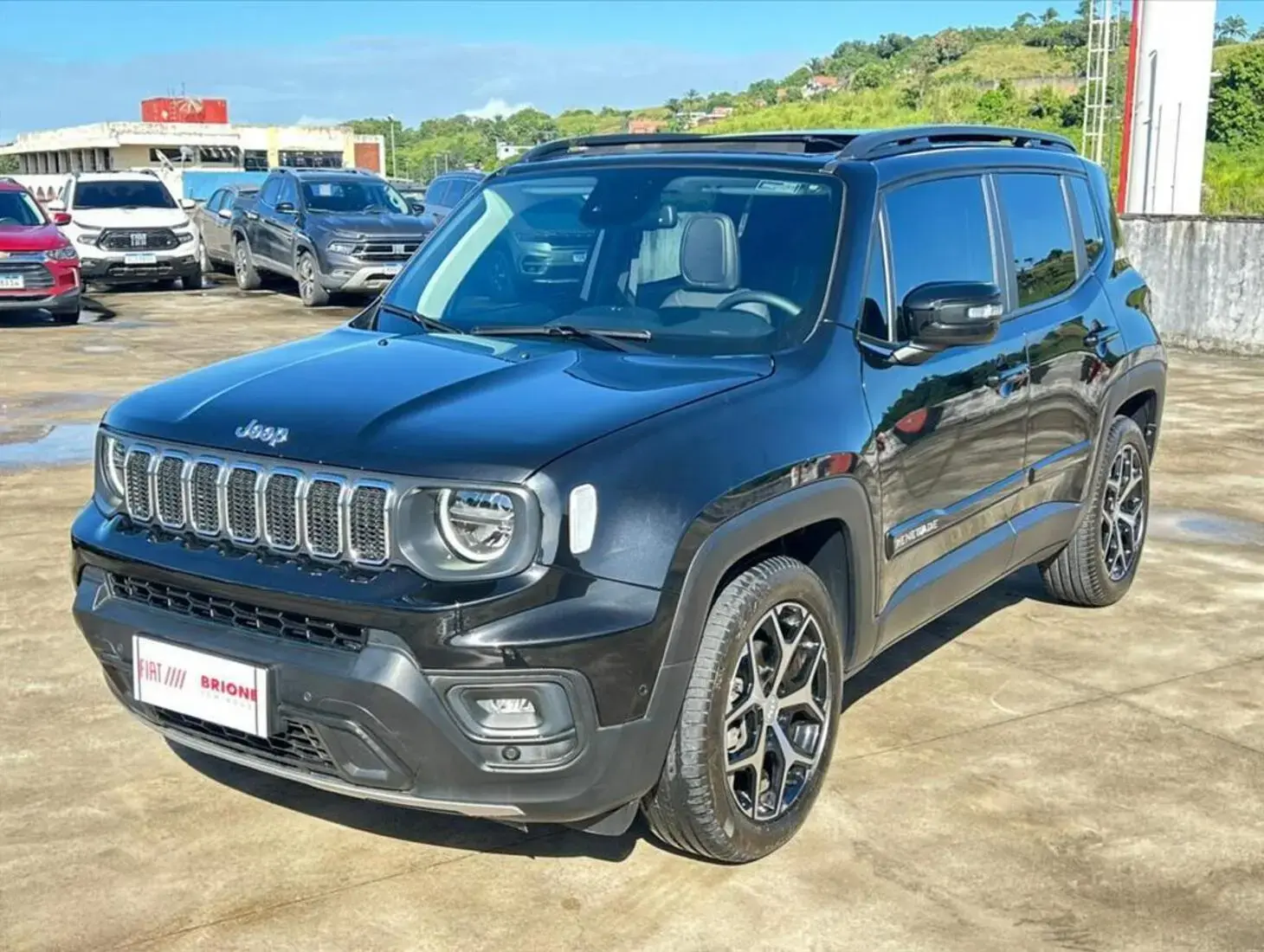 galeria RENEGADE