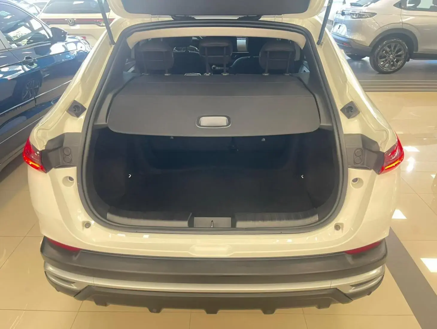 galeria Fastback