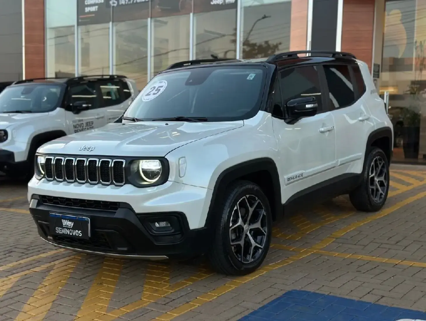 galeria RENEGADE