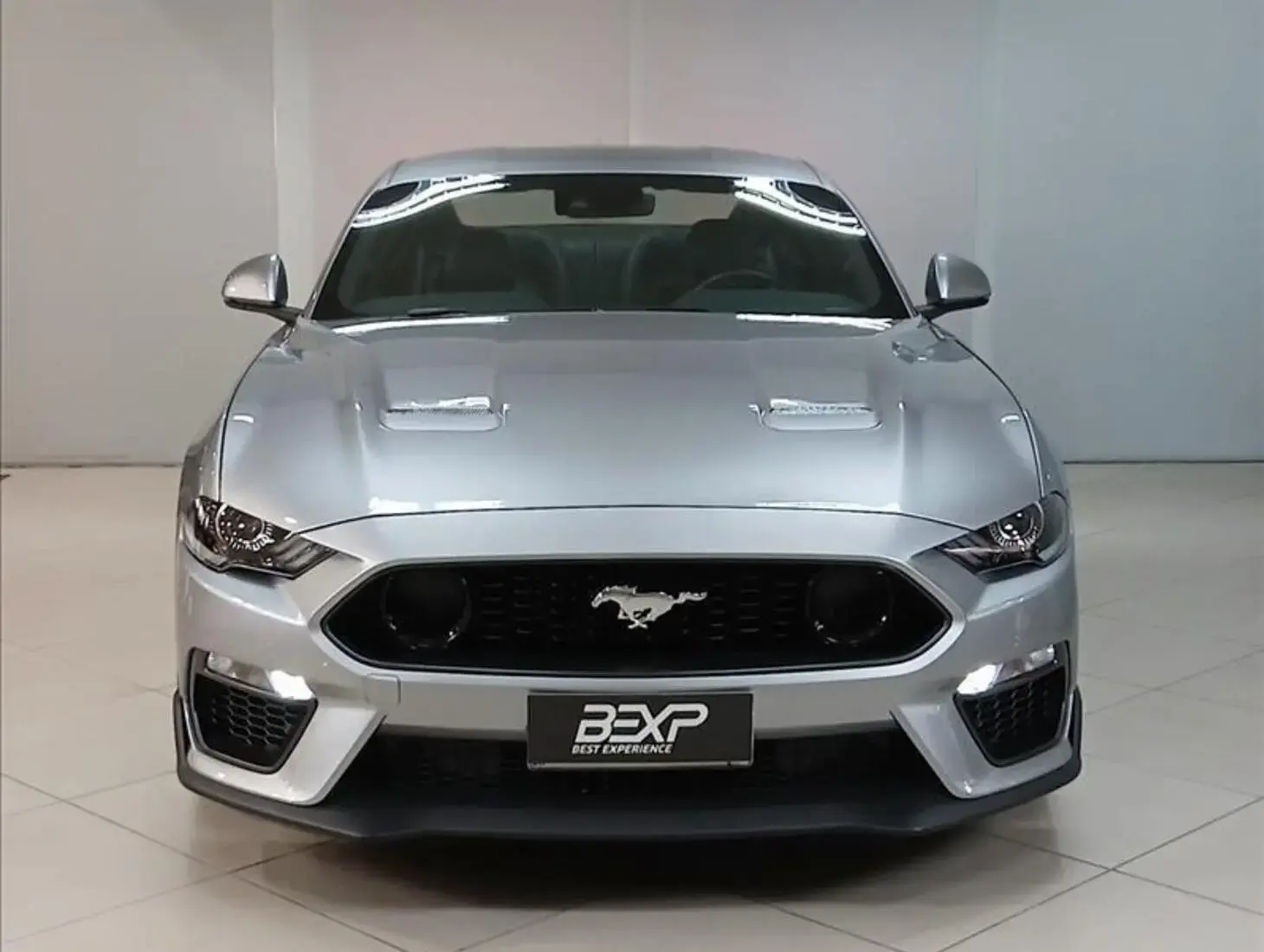 galeria MUSTANG