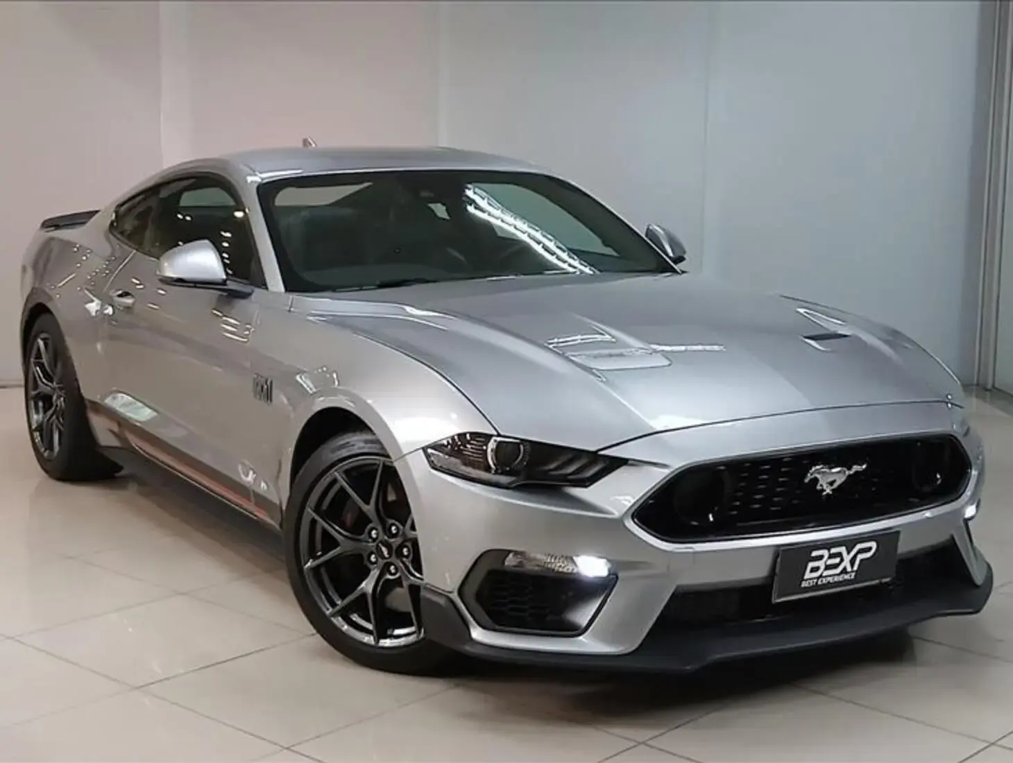 galeria MUSTANG