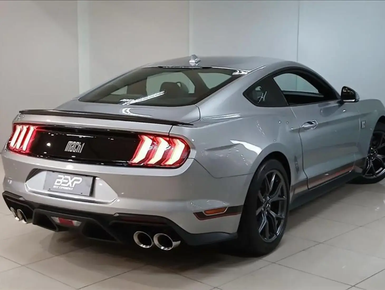 galeria MUSTANG