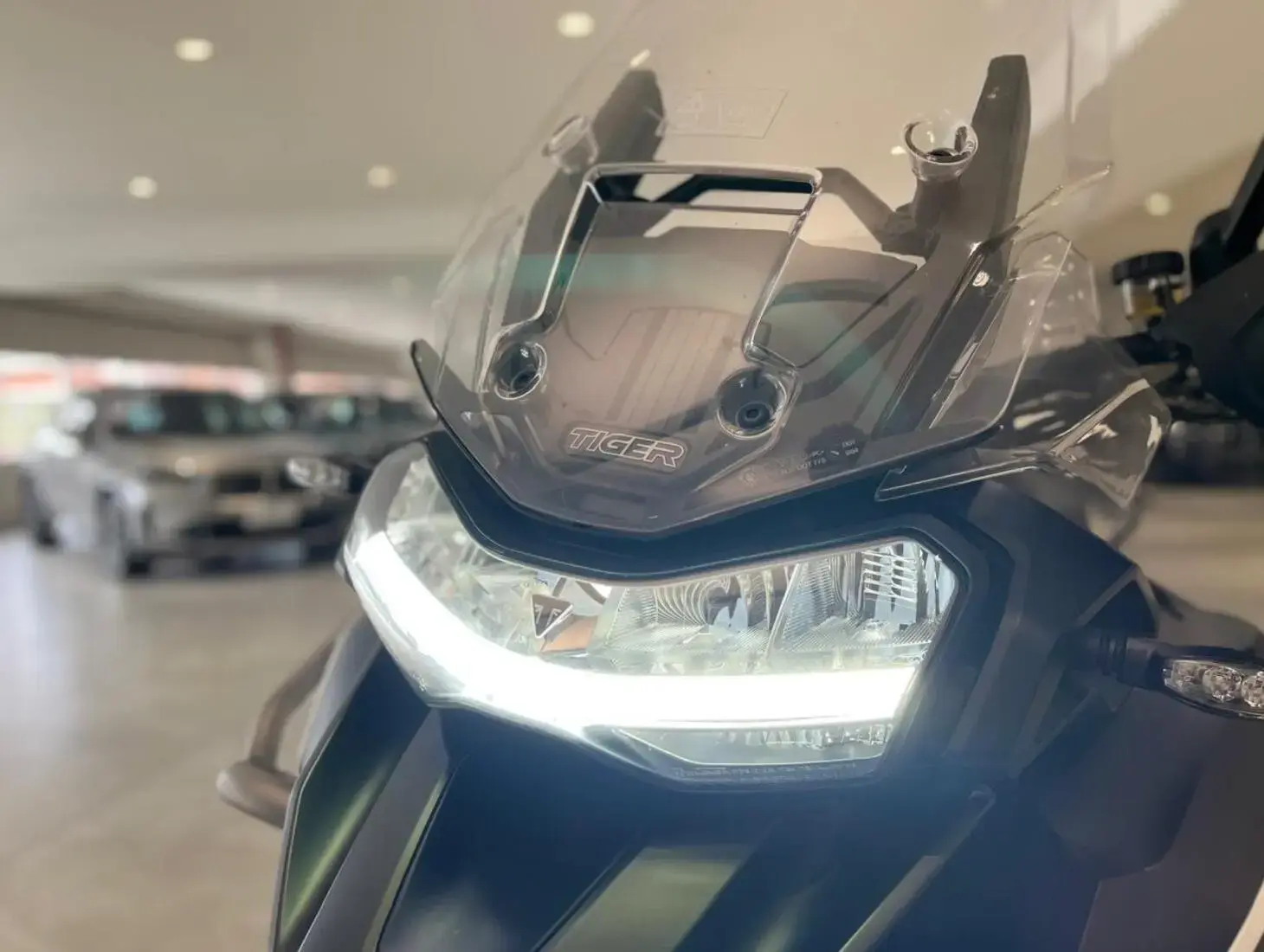 galeria Tiger 1200