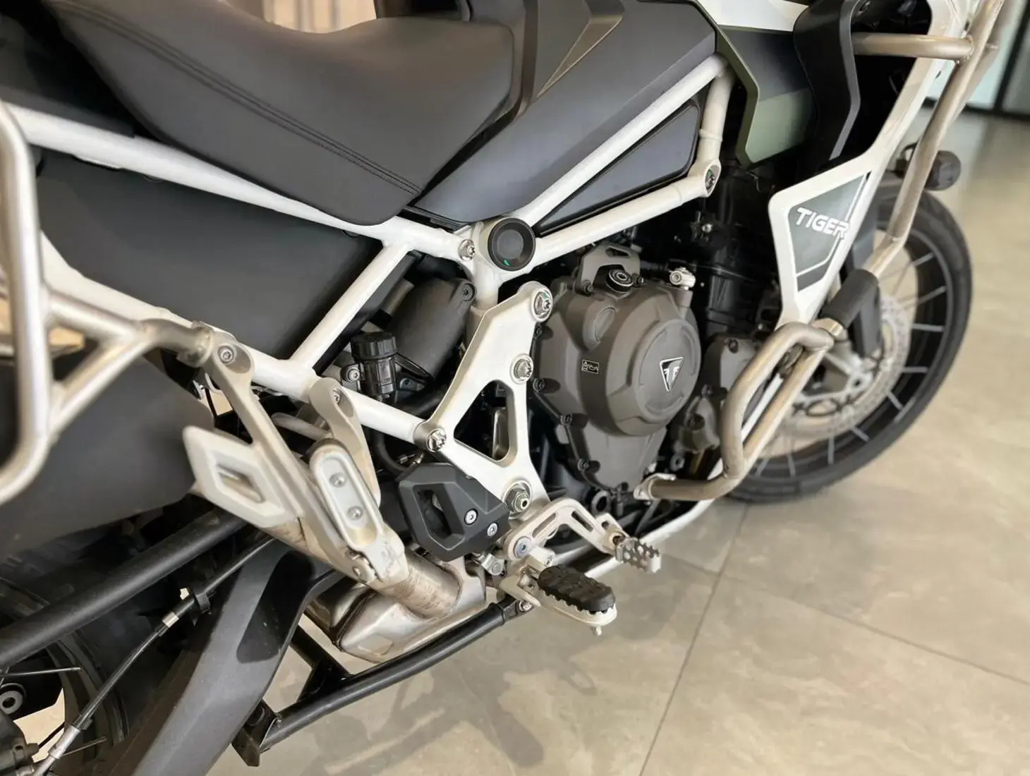 galeria Tiger 1200
