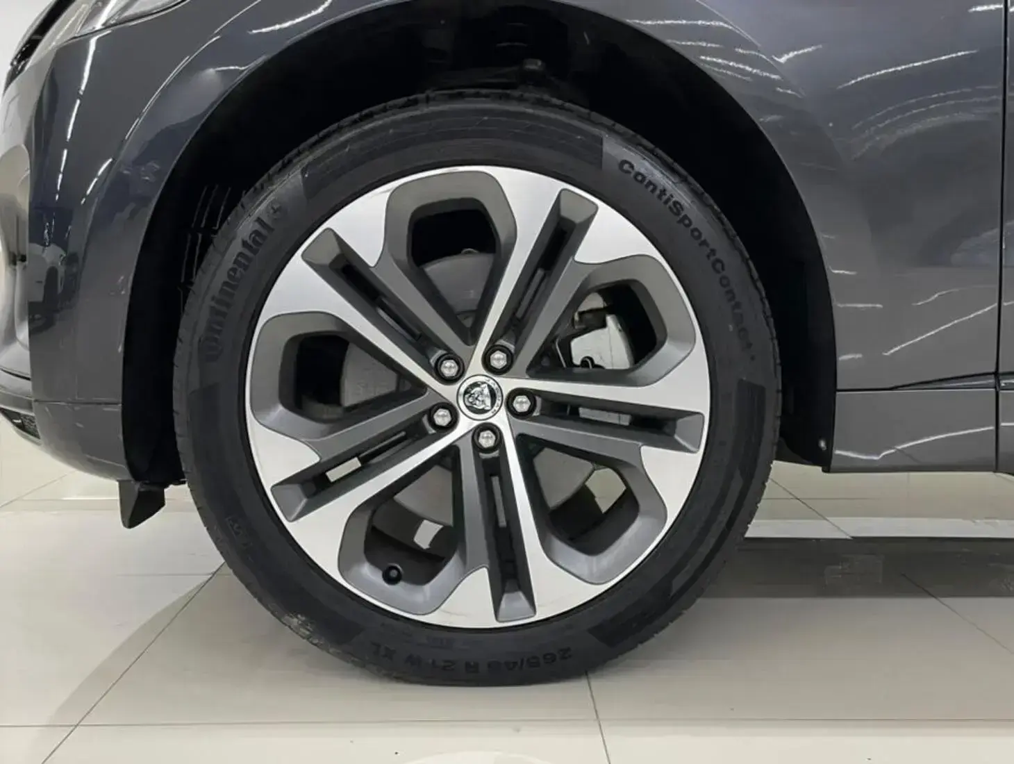 galeria F-Pace
