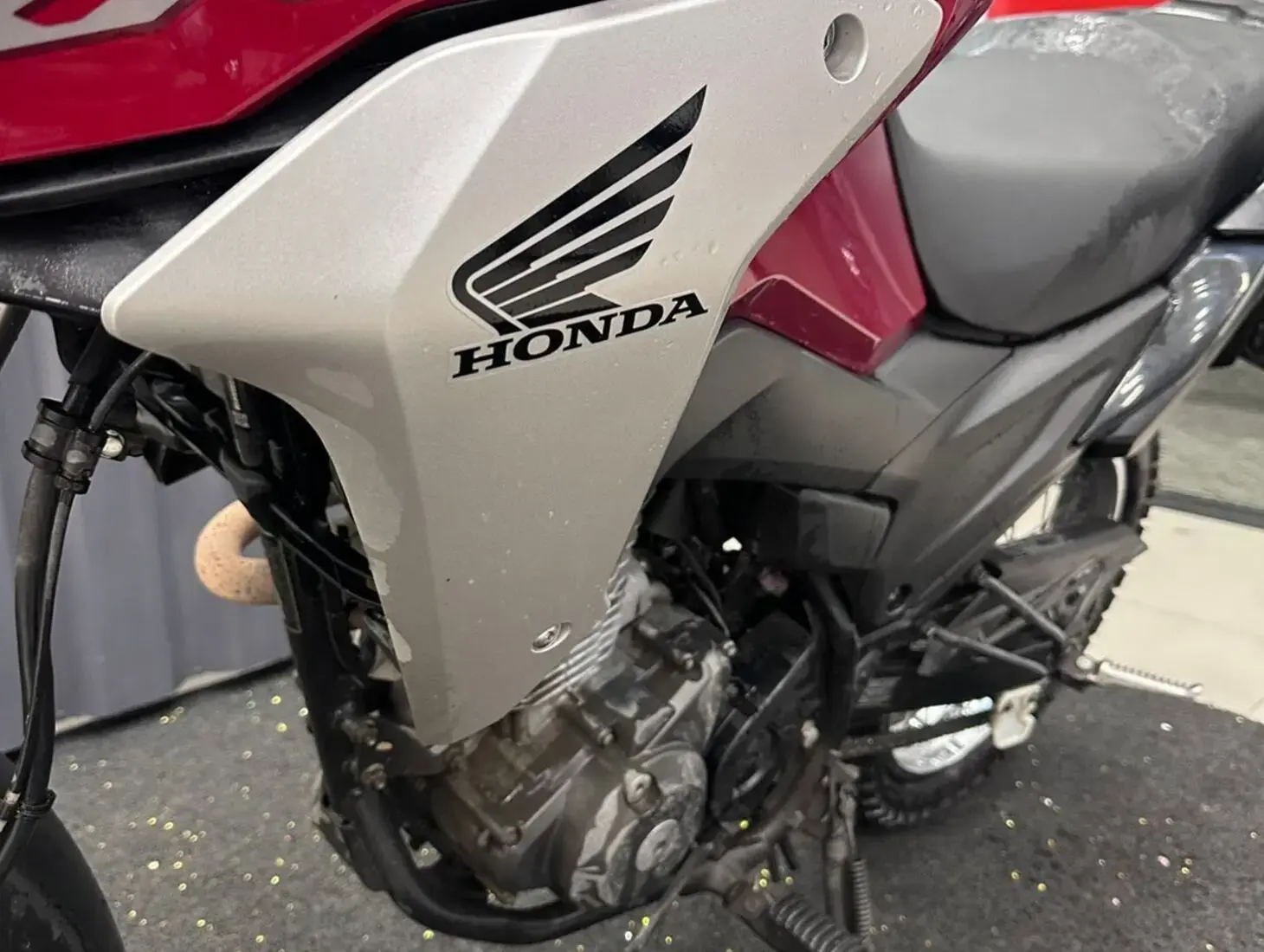 galeria HONDA