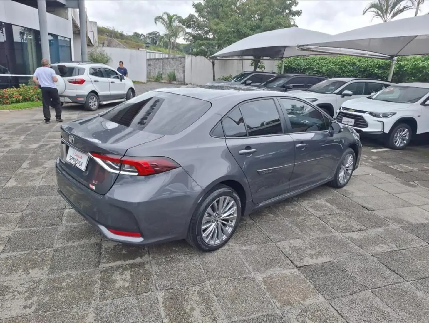 galeria COROLLA