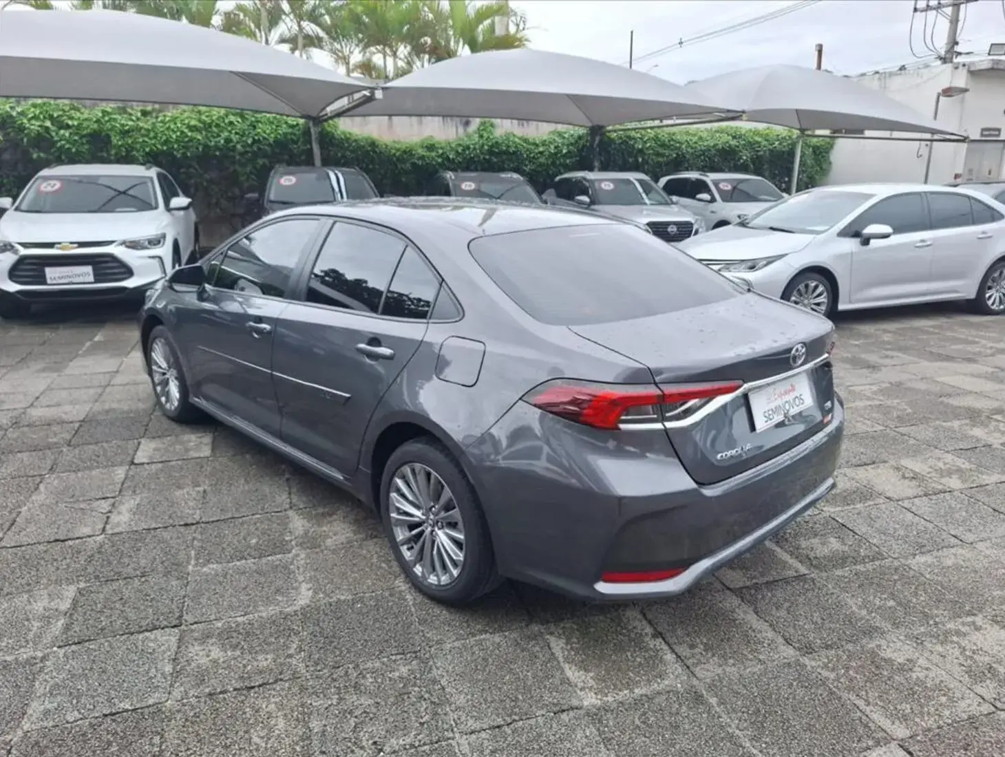 galeria COROLLA