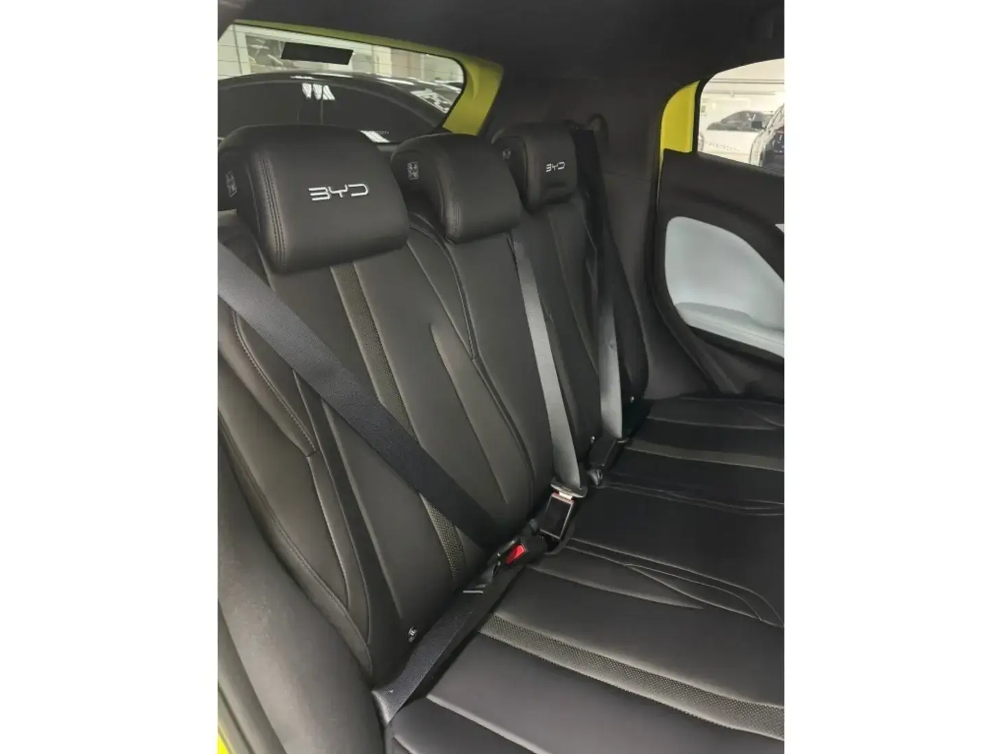 galeria DOLPHIN MINI