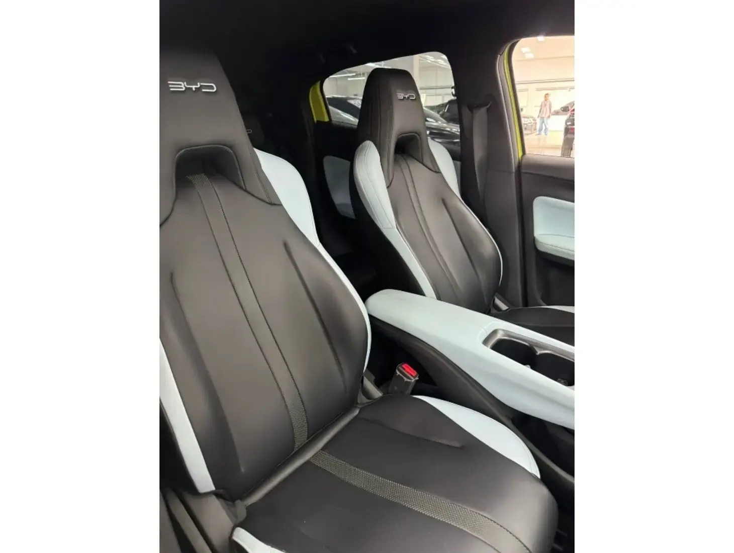 galeria DOLPHIN MINI