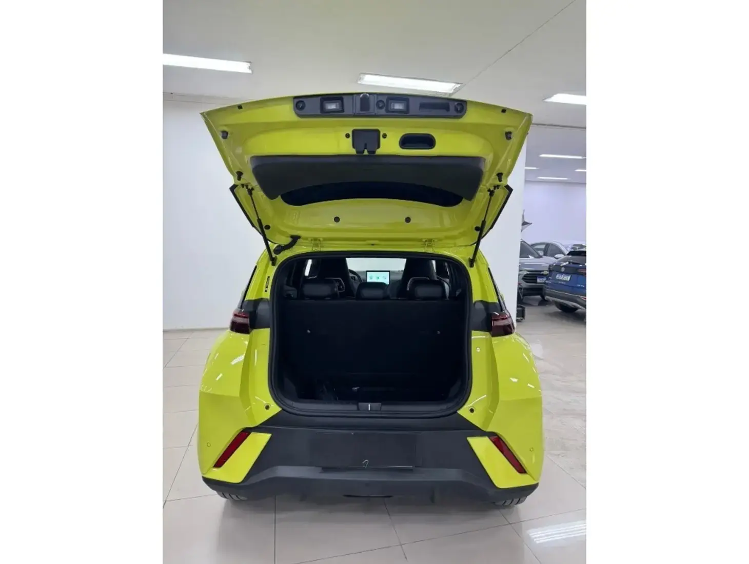 galeria DOLPHIN MINI