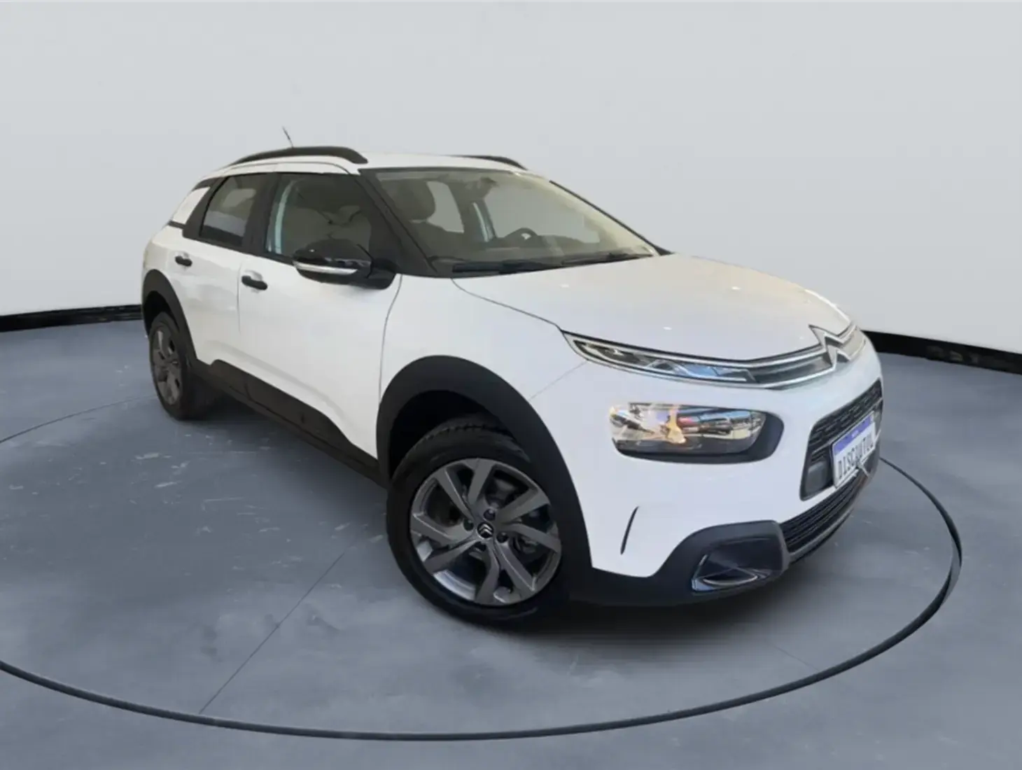 galeria C4 CACTUS