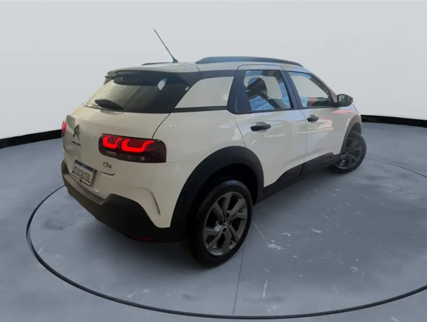 galeria C4 CACTUS