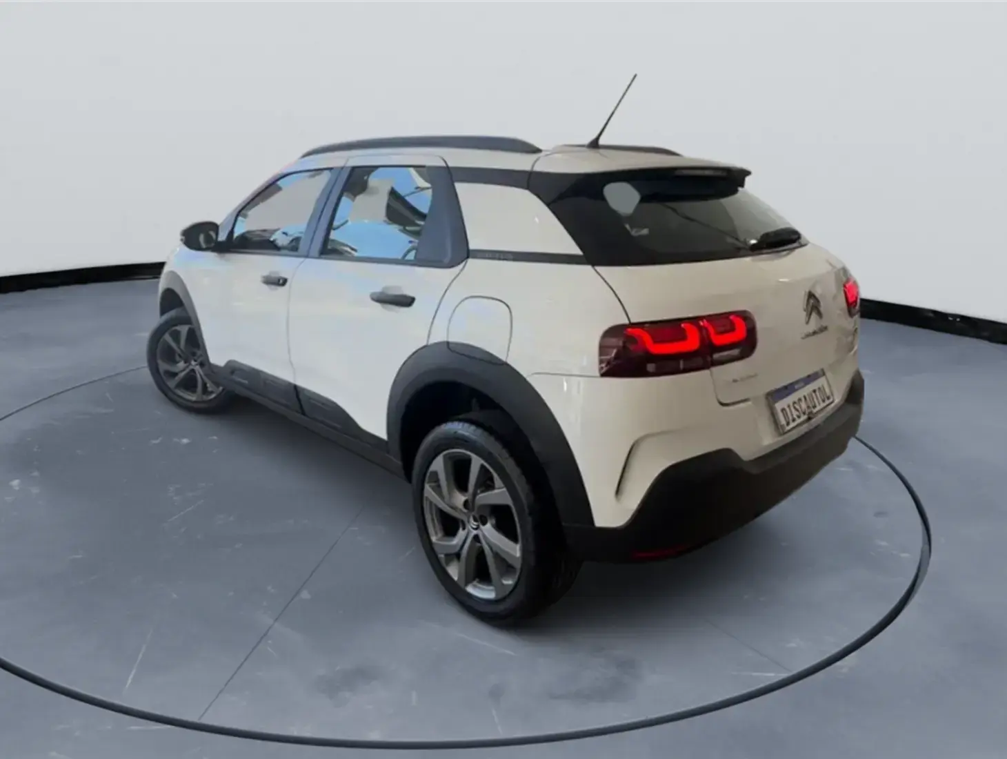 galeria C4 CACTUS